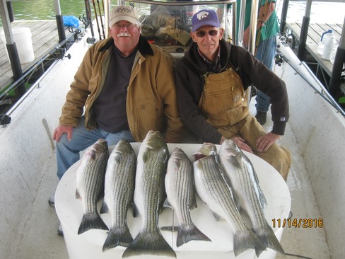 Nice Striped Bass